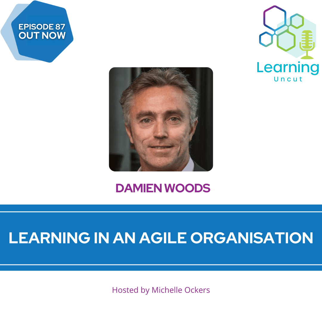 87 Learning In An Agile Organisation Damien Woods Learning Uncut